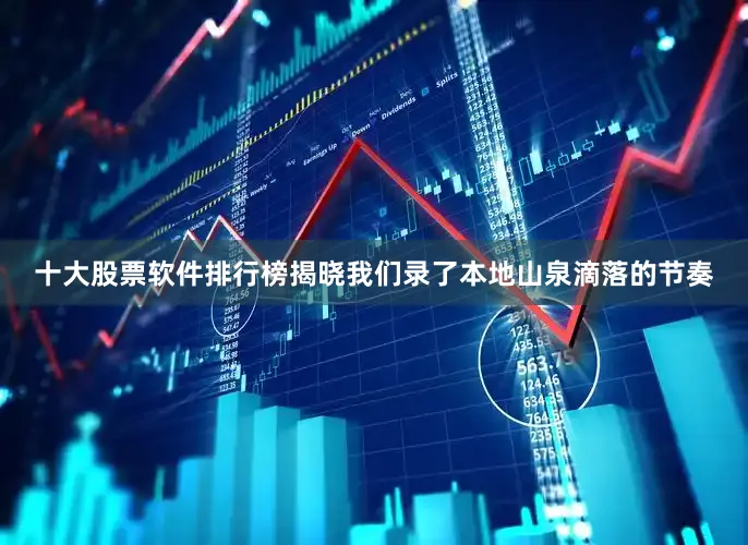 十大股票软件排行榜揭晓我们录了本地山泉滴落的节奏